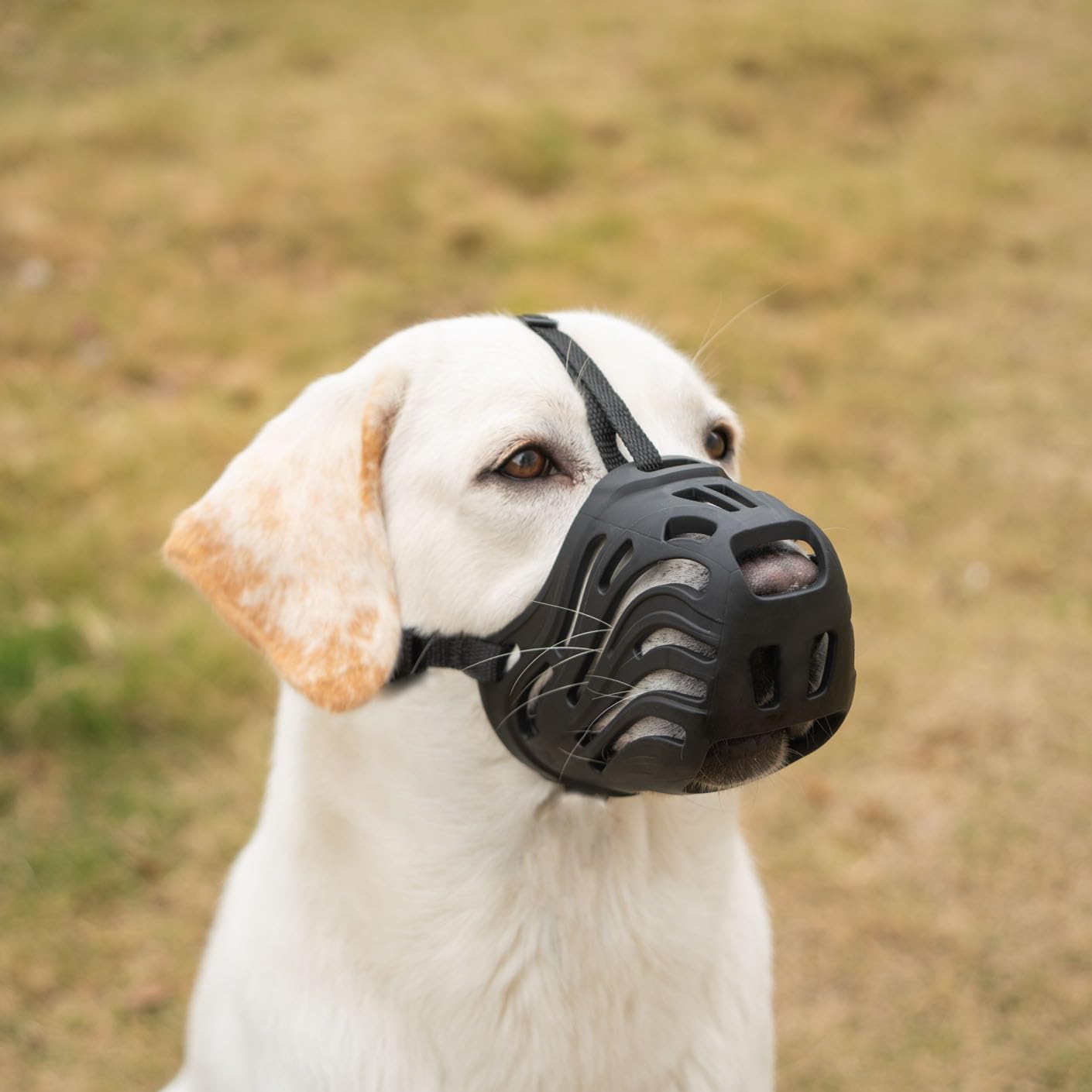 Dog Muzzle for Large Dogs Basket Soft Adjustable Muzzle